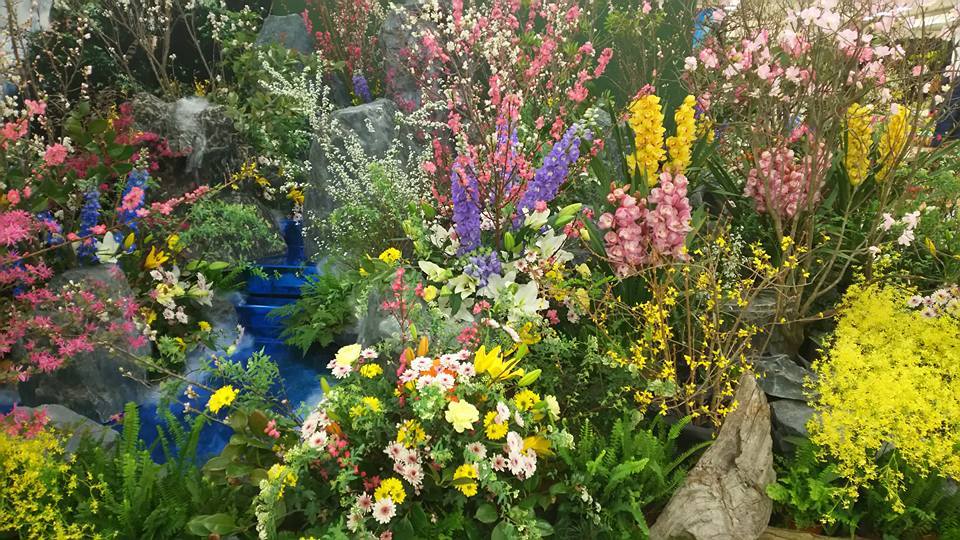 植物の話をいっぱいしよう♪_b0331802_20084552.jpg