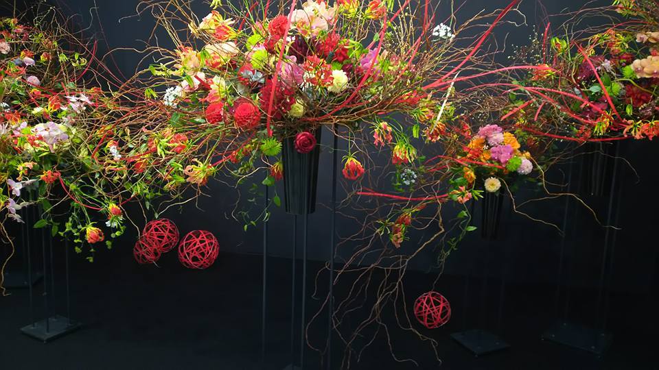植物の話をいっぱいしよう♪_b0331802_20084593.jpg