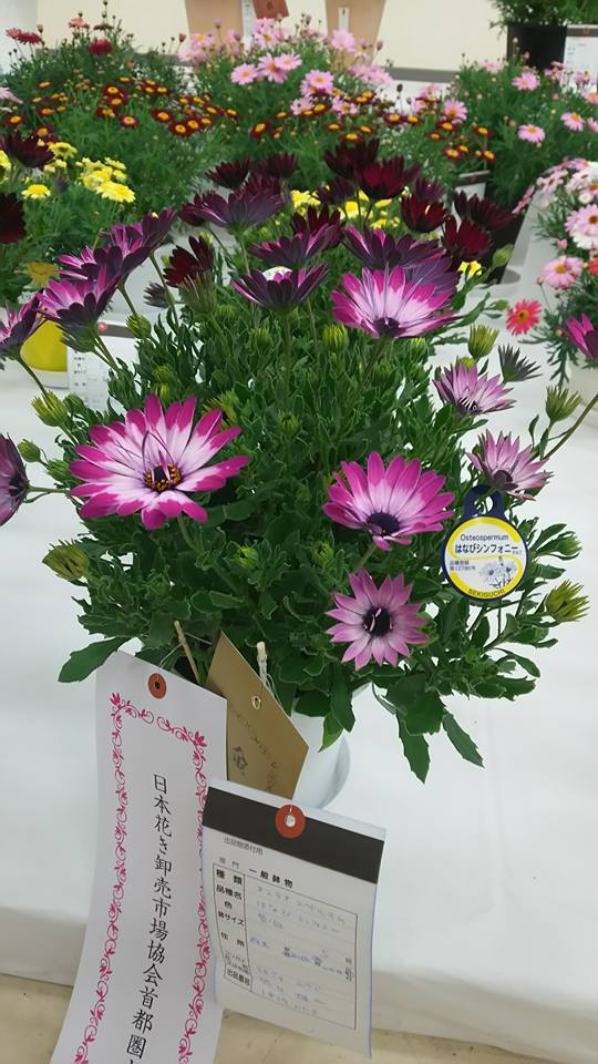 植物の話をいっぱいしよう♪_b0331802_20084691.jpg
