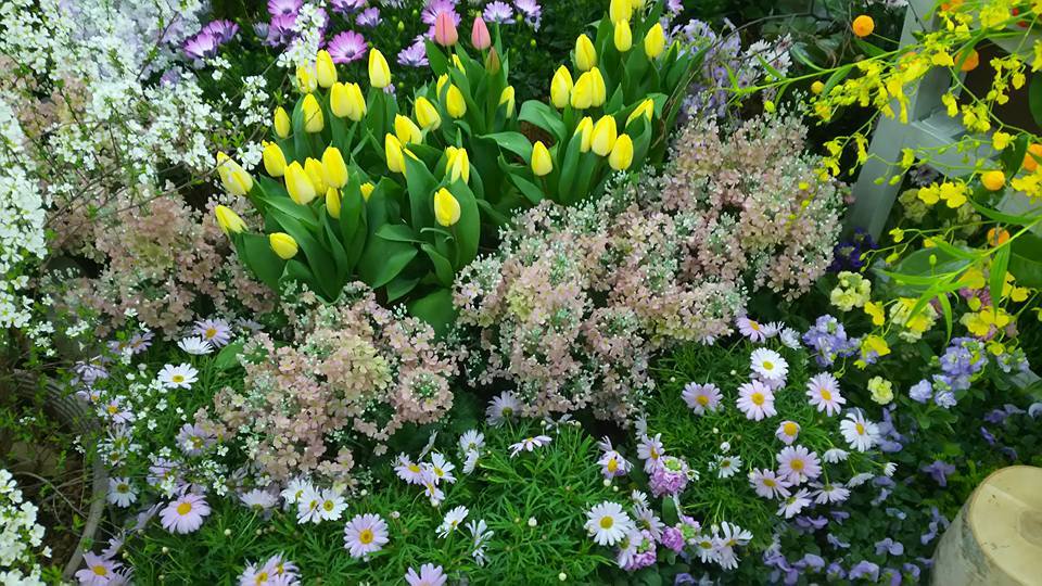 植物の話をいっぱいしよう♪_b0331802_20135168.jpg