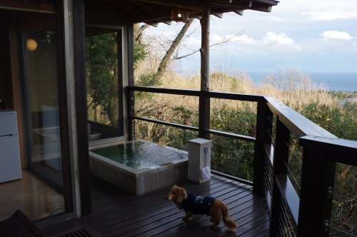 伊豆へ温泉旅行~_a0189506_10155661.jpg