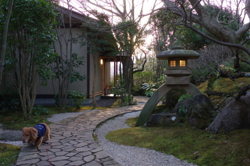 伊豆へ温泉旅行~_a0189506_10260940.jpg