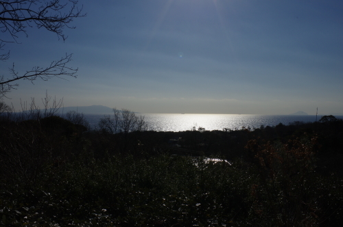 伊豆へ温泉旅行~_a0189506_11025393.jpg