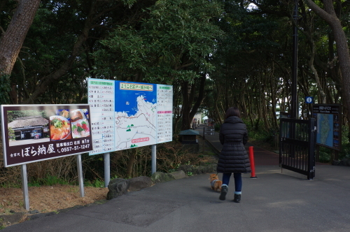 伊豆へ温泉旅行~_a0189506_11043303.jpg