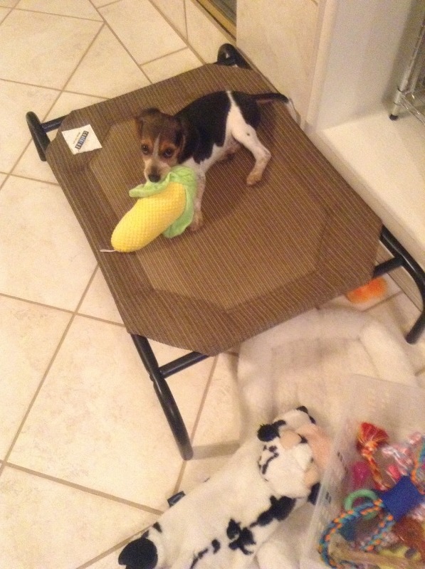 b0368324_00184340.jpeg
