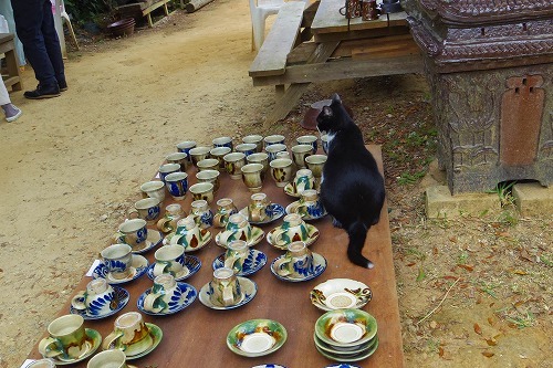 2016冬　沖縄の旅番外編～おきなわねこねこ _b0312126_01101928.jpg