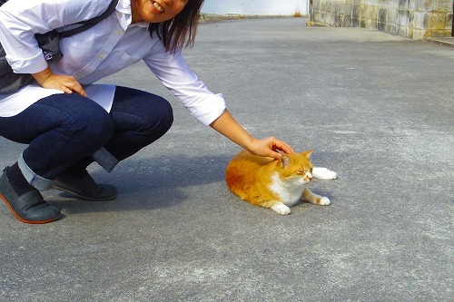 2016冬　沖縄の旅番外編～おきなわねこねこ _b0312126_01122511.jpg