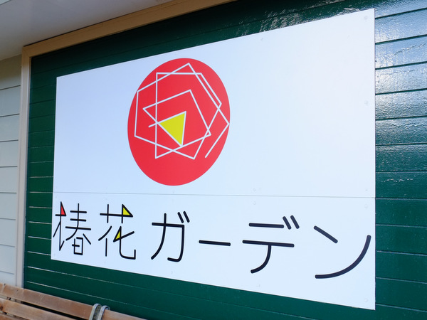 「伊豆大島うれしー旅（前半）　浜松町から東海汽船に乗って椿まつりを見に行く」_a0000029_12553847.jpg