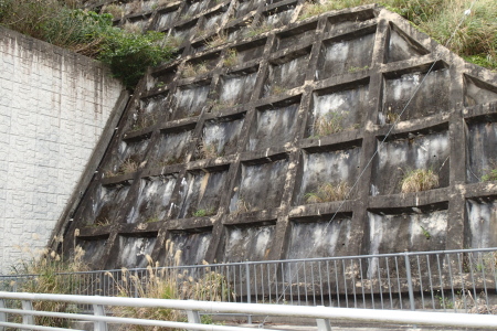 17.2.4 日々、サンゴに携わり_b0100730_18572271.jpg