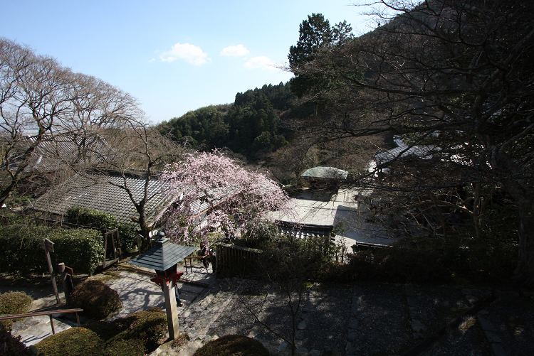 京都回顧 梅の善峯寺_b0169330_21183781.jpg