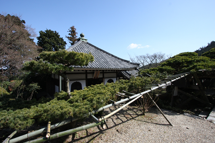 京都回顧 梅の善峯寺_b0169330_21272343.jpg