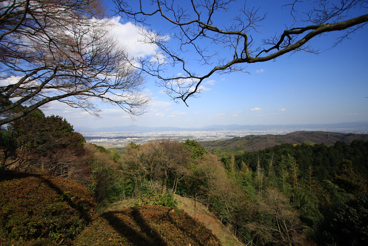 京都回顧 梅の善峯寺_b0169330_21274456.jpg