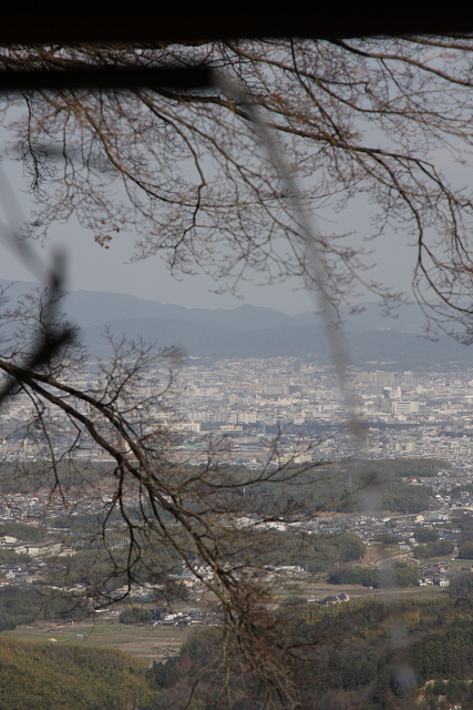 京都回顧 梅の善峯寺_b0169330_2216334.jpg