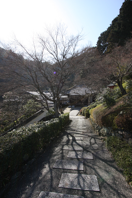 京都回顧 梅の善峯寺_b0169330_23211599.jpg