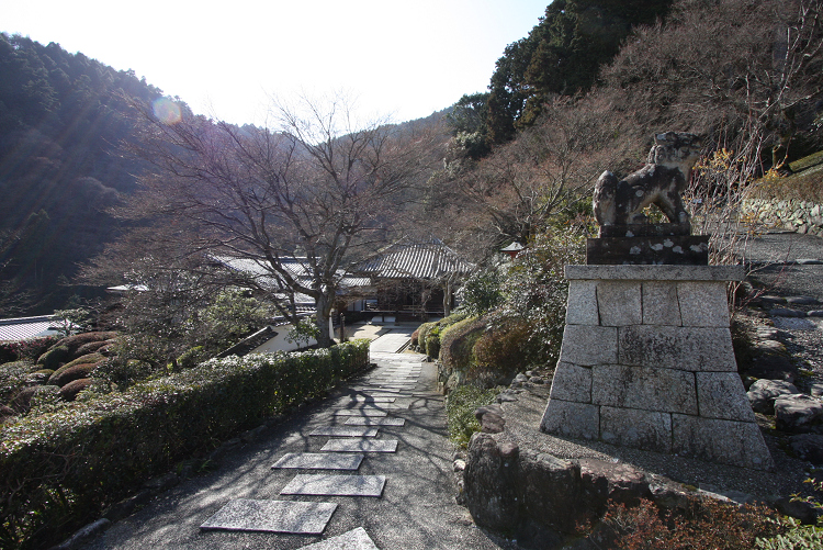 京都回顧 梅の善峯寺_b0169330_2321855.jpg