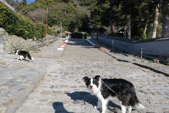 c0147241_17115330.jpg
