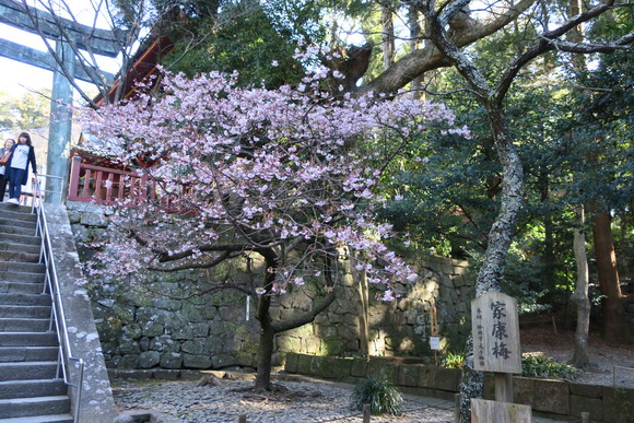c0147241_17141183.jpg