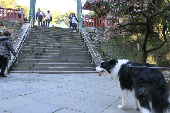 c0147241_17142147.jpg