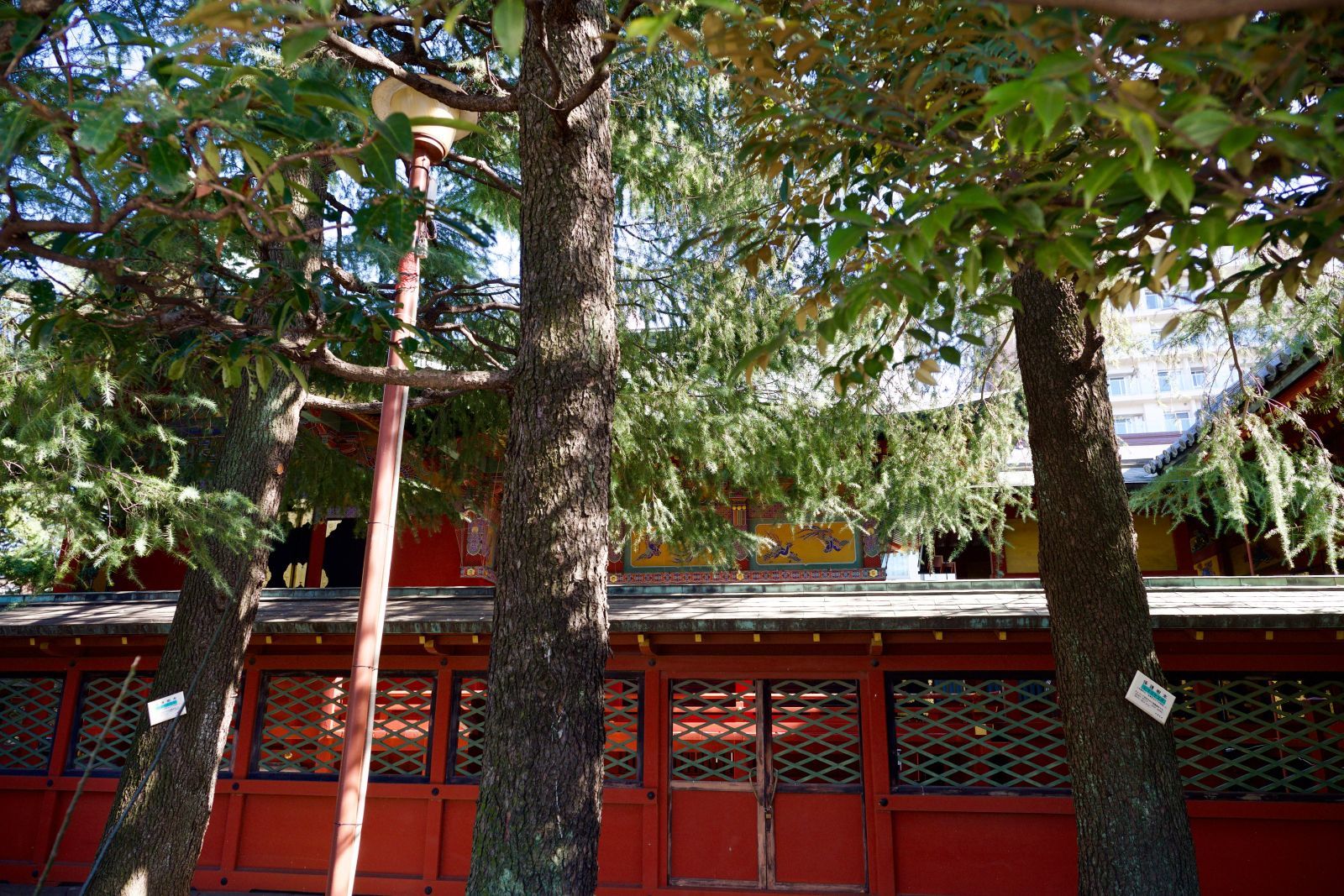 【重要文化財|浅草神社】 行き方、見学のしかた (東京都)_b0212342_08574963.jpg