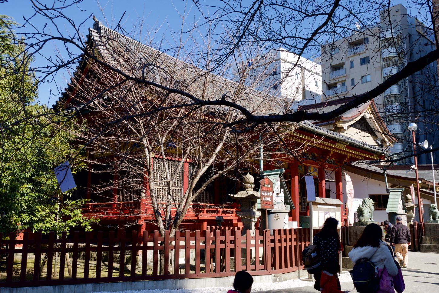 【重要文化財|浅草神社】 行き方、見学のしかた (東京都)_b0212342_08575314.jpg