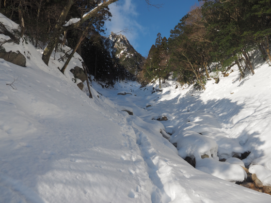 a0067744_125342.png