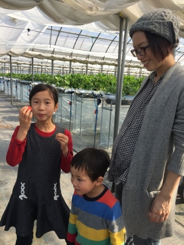 稲美のいちごハウスへ_e0035344_14400210.jpg