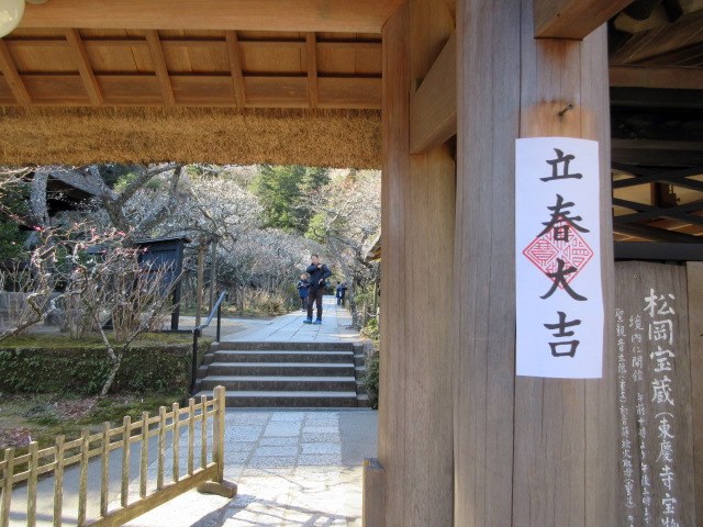 立春大吉 北鎌倉東慶寺の白梅 お散歩アルバム 晩夏に