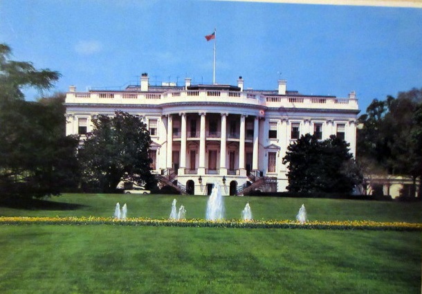 b0009849_2155080.jpg