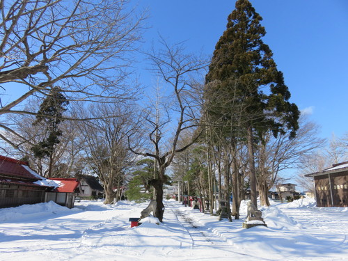 東風凍りを解く・・今日は立春_b0238249_191814.jpg