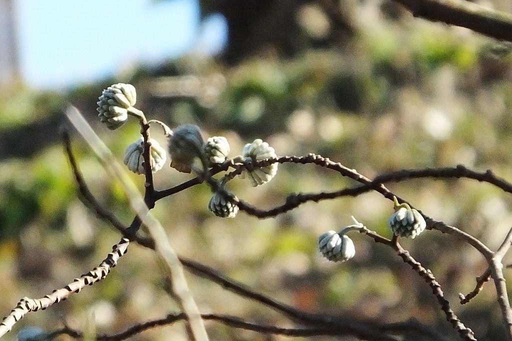b0236251_13411451.jpg