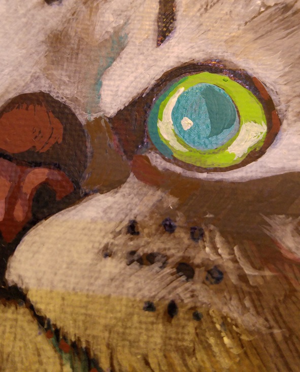 春節猫展、いよいよ佳境!_b0019674_191939.jpg