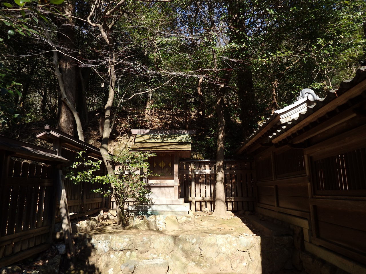 『素心蝋梅(ソシンロウバイ)と蝋梅(ロウバイ)と篠ｹ谷神社と梅林の石碑・・・・・』_d0054276_20304374.jpg