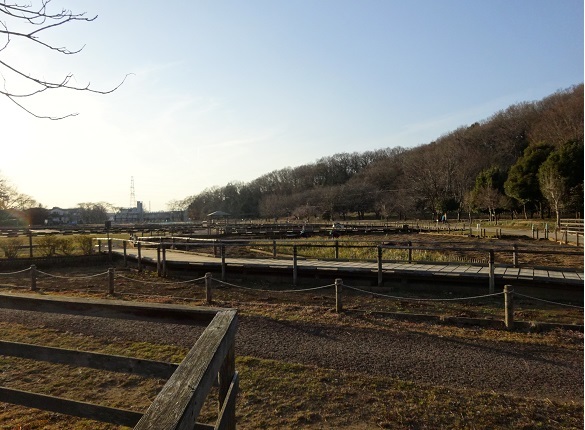 鎌倉街道・上道（6）西国分寺～東村山02　東村山_d0183387_01450437.jpg