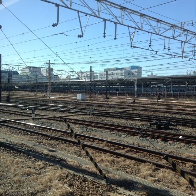口笛の柴田晶子さんと@豊橋市民文化会館大ホール_a0334793_22090510.jpg