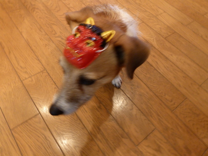 b0321595_01181152.jpg