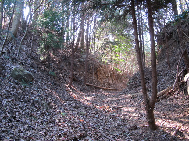 a0166196_20222540.jpg