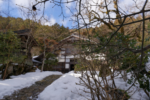 雪の常照皇寺_e0366896_09244928.jpg