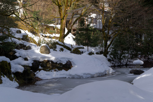 雪の常照皇寺_e0366896_09254259.jpg