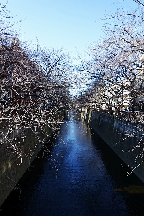 e0277800_11232969.jpg