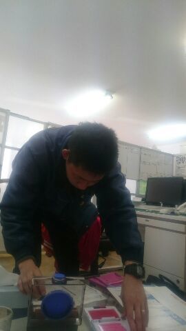 b0127002_20125986.jpg