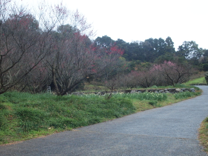 福岡にて･･･････♪_b0331802_22035988.jpg