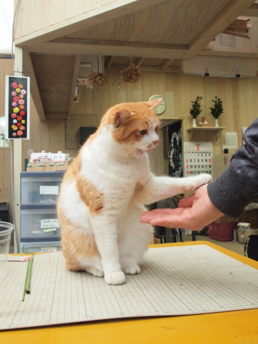 福岡にて･･･････♪_b0331802_22091613.jpg