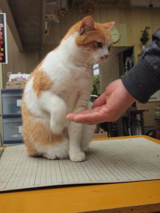 福岡にて･･･････♪_b0331802_22091936.jpg