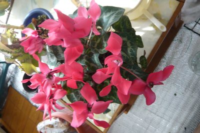 c0024502_14481372.jpg