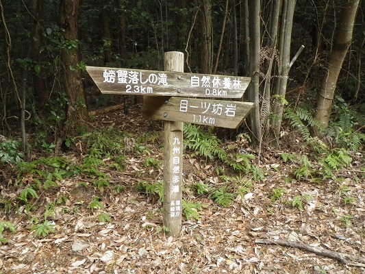f0187402_20583232.jpg