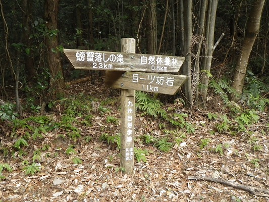 17-2：目一ツ坊岩・杉山　　　_f0187402_20583232.jpg