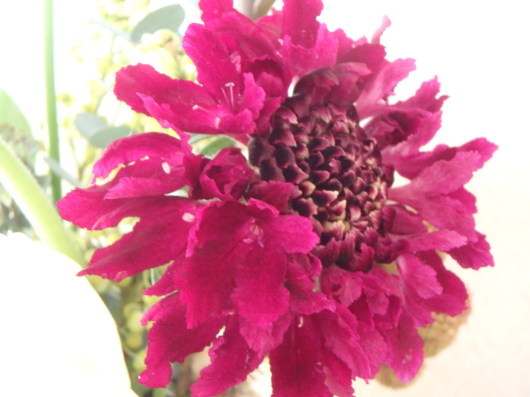 f0329602_12432430.jpg