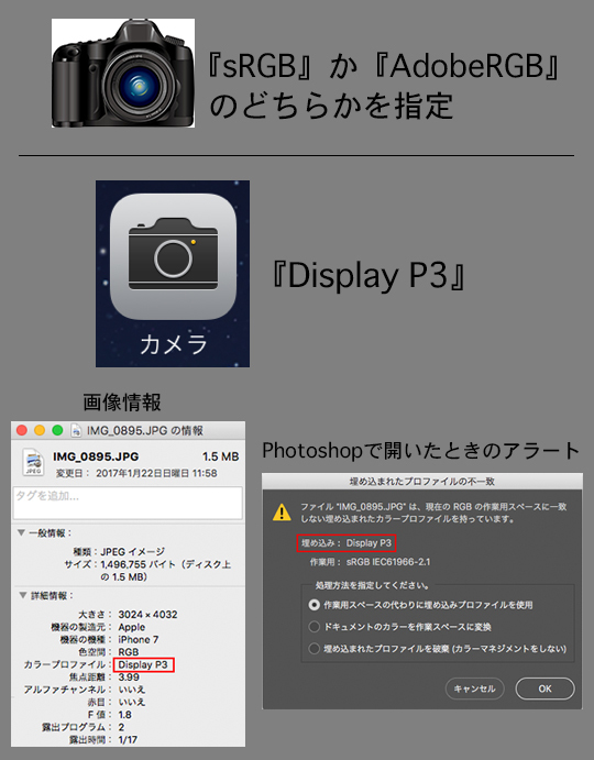 Appleから始まる新しいカラースペース Display P3 と再構築されたカラーマネジメント新時代 Lr Mobileなどアプリとの連携 Lightcrew Digital Note