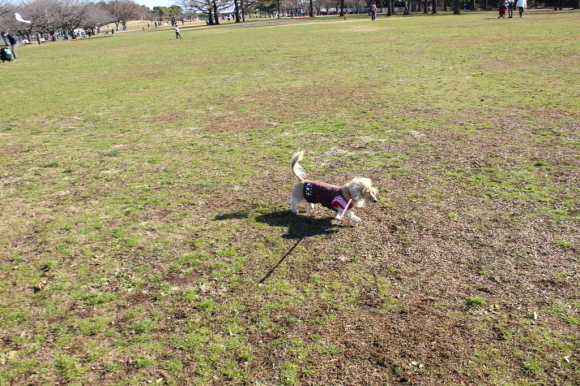f0224506_17480624.jpg