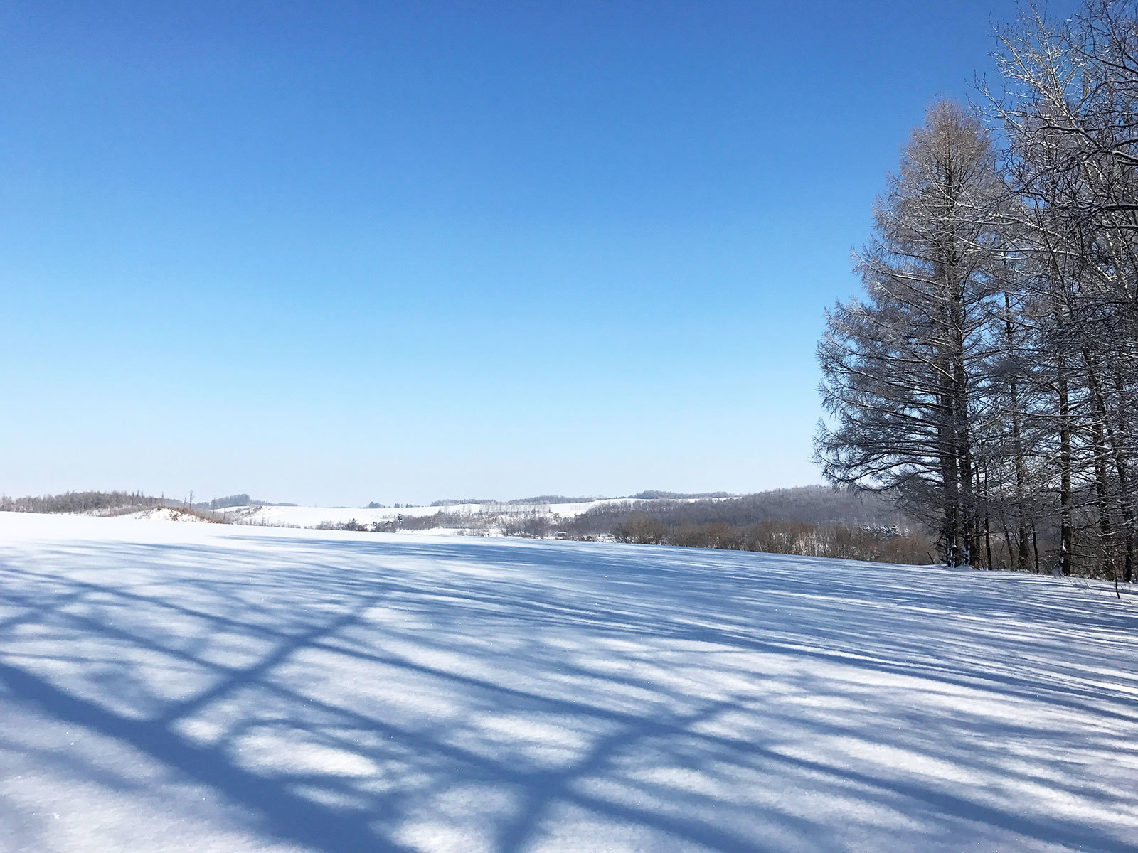 c0033513_17551226.jpg